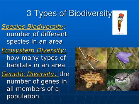 Biodiversity Types