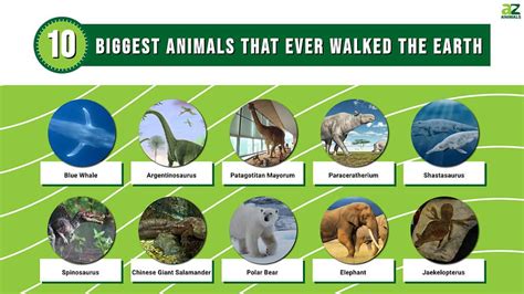 The 10 Biggest Animals That Ever Walked the Earth - A-Z Animals