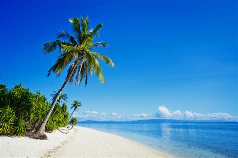 Wallpaper Philippines beaches Sea Nature Palms Tropics Coast