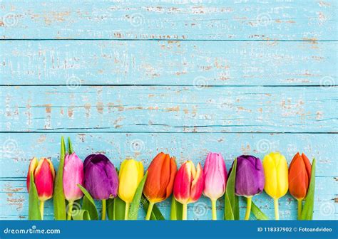 Beautiful Spring Flowers Background with Multicolored Tulips Border on ...