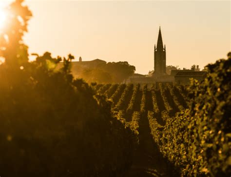 Bordeaux: The Iconic Wine Region