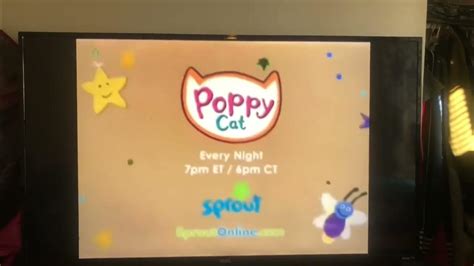 Poppy cat good night show sprout promo - YouTube