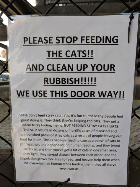 45 HQ Photos Stop Free Feeding Cats : Petition · Stop the City From ...