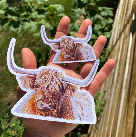 Highland Cow Sticker Colored Pencil Scottish Highland Cattle | Etsy