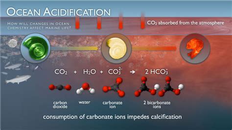 Ocean Acidification Planetary Boundary – The Anthropocene Dashboard