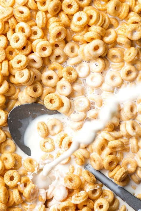 Pouring Milk into Cereal Wholegrain Rings. Close Up Splash Stock Photo - Image of breakfast ...