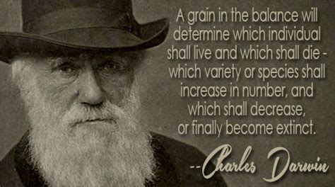 Charles Darwin Quotes. QuotesGram