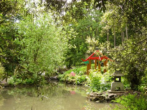 Japanese Garden in Peasholm Park, Scarborough | Jacqueline Sheldon | Flickr