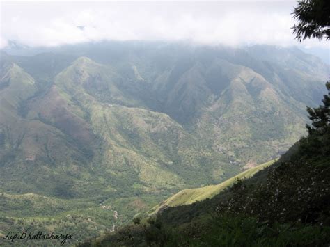 Kolukkumalai Tea Estate, Munnar, Kerala | Learning and Creativity ...