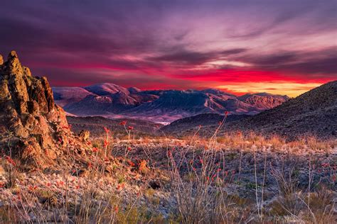 What You Need to Know and Helpful Tips for Exploring Big Bend National Park, Texas