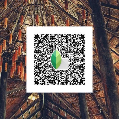 The 36 best snapseed qr codes presets – Artofit