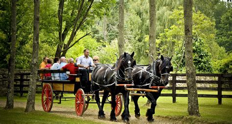 A horse and buggy ride is the best way to see the estate! | Horse and buggy, Horses, Foxburg