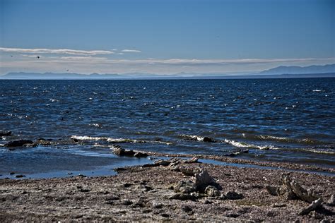 Salton Sea Beach Landscape Free Stock Photo - Public Domain Pictures