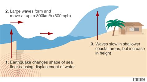 Indonesia tsunami: Palu hit by 'worst case scenario' - BBC News