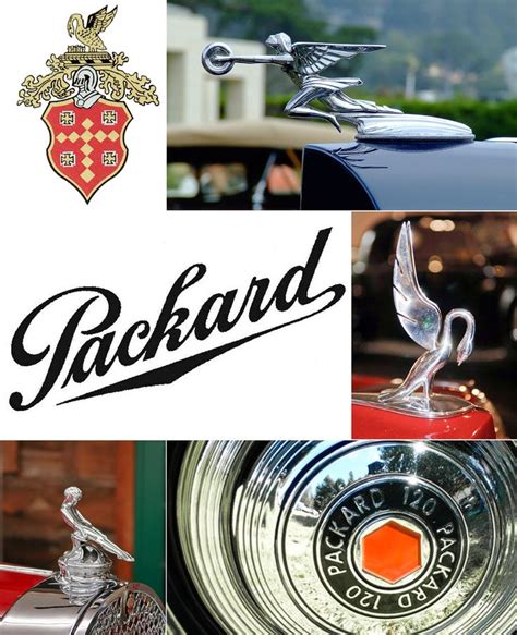 Packard Logos | Hood ornaments, Motorcycle logo, Packard