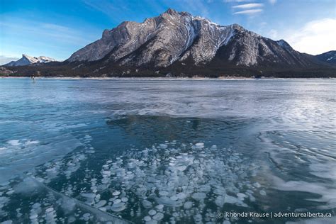 Abraham Lake Bubbles- How to See the Frozen Bubbles in Abraham Lake