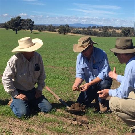 Free Soil Testing Available – Little River Landcare