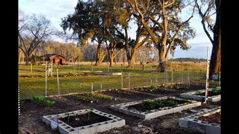 Vegetable Gardening in Florida in February - YouTube