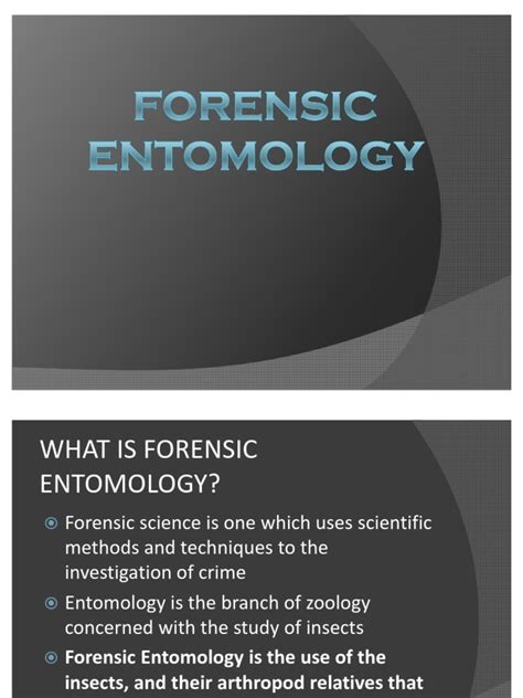 Forensic Entomology | Fly | Insects And Humans