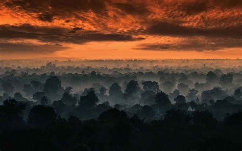 Pench National Park | Pench Tiger Reserve | Madhya Pradesh