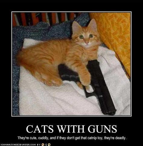 22 Cats with guns ideas | cats, crazy cats, funny cats