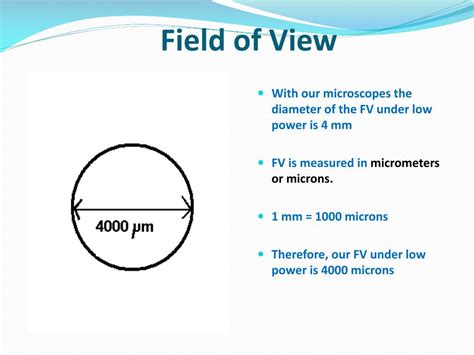 PPT - The Microscope PowerPoint Presentation, free download - ID:6006599