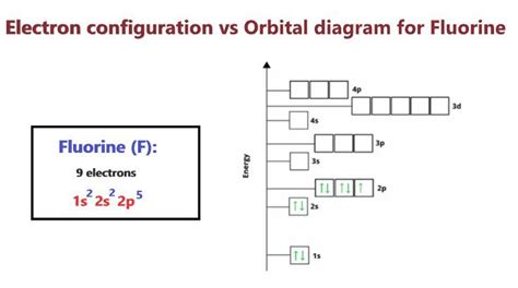 Fluorine (F) Orbital diagram, Electron configuration, and Valence electrons | Electron ...