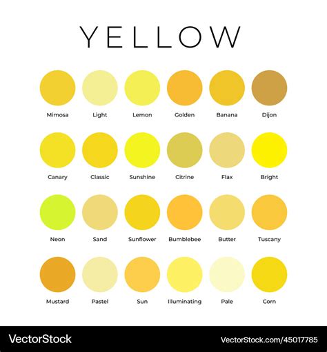 Yellow Color Shades Swatches Palette With Names Vector Image | The Best Porn Website