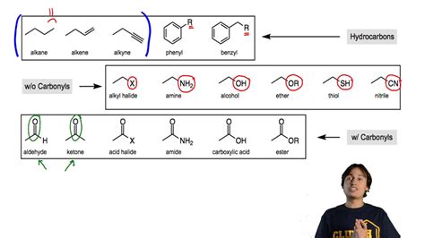 35 Label The Highlighted Functional Groups In This Molecule. - Labels ...