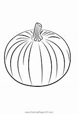 Pumpkin 1 Coloring Page For Kids  Free Pumpkins Printable sketch template