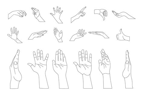 Premium Vector | Human hand gestures set, minimal line art illustrations, ok, thumb up and ...