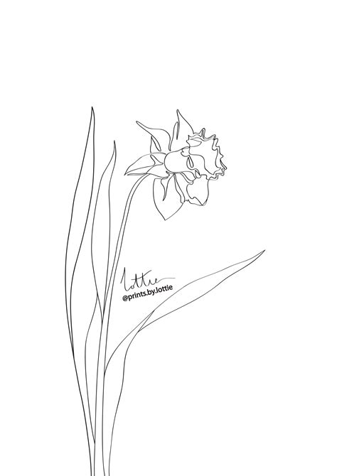 Daffodil Line Drawing Tattoo Daffodil flower printable wall art minimalist art one line drawing ...