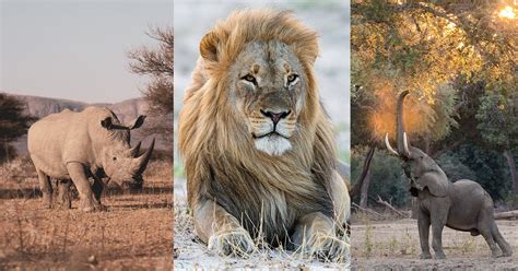 Africa’s Best Wildlife Photography Locations and When to Visit Them ...