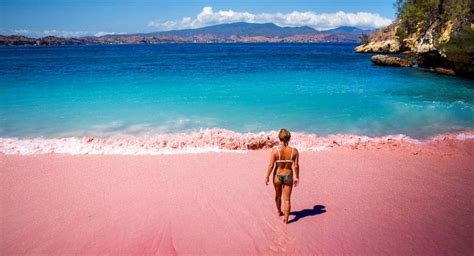 Travel: Indonesia’s extremely rare pink beach