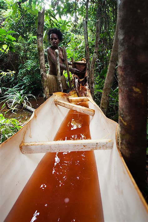 The Korowai people - West Papua