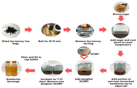 Fermentation | Free Full-Text | Kombucha Healthy Drink—Recent Advances in Production, Chemical ...