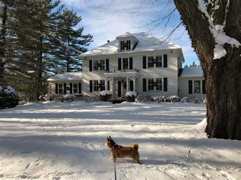 Mid-January Snow, Beautiful and Seasonally Appropriate | Wildtrumpetvine