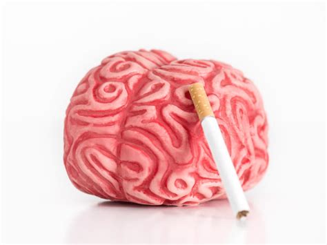 Nicotine Effects On Brain