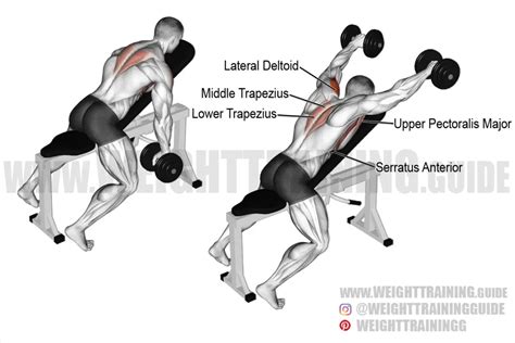 Prone incline dumbbell front raise exercise instructions and video