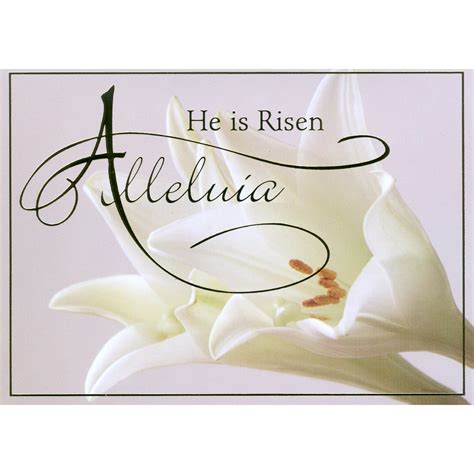 "Alleluia" Easter Boxed Cards (25/Box) - St. Andrew's Book, Gift & Church Supply