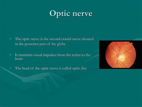 PPT - Optic nerve and visual pathway PowerPoint Presentation, free ...