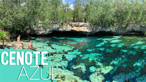 Tulum Cenote Azul - Everything You Need To Know