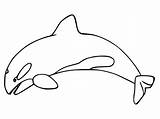 Orca Killer Whale Coloring Page Abc Worksheet sketch template
