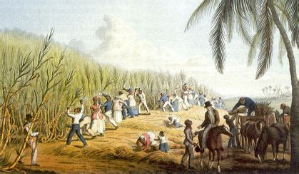 Caribbean Slavery