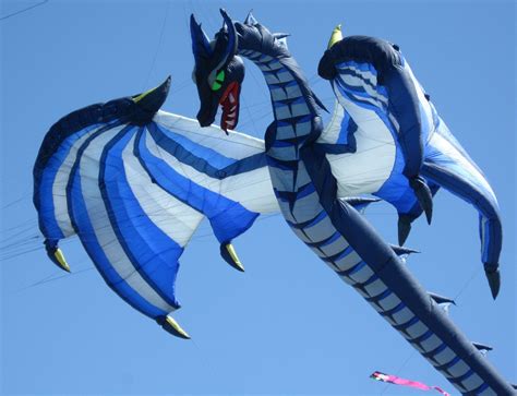 Washington State International Kite Festival | Dragon kite, Go fly a kite, Kite