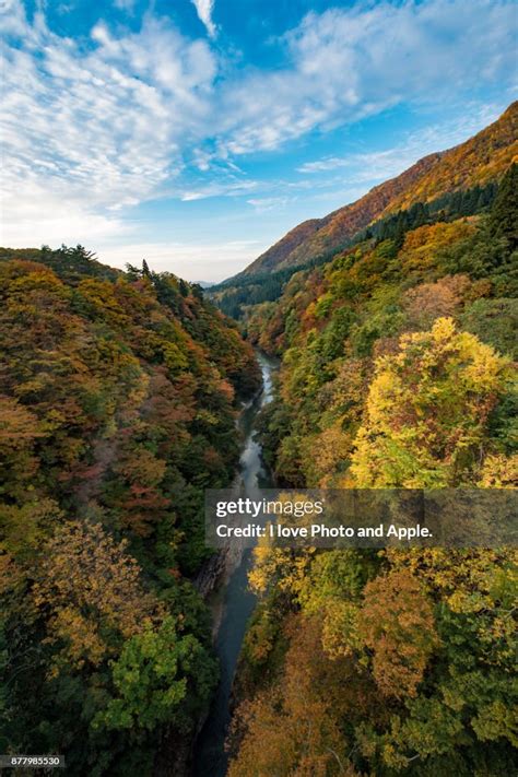 Japan Autumn Scenery High-Res Stock Photo - Getty Images