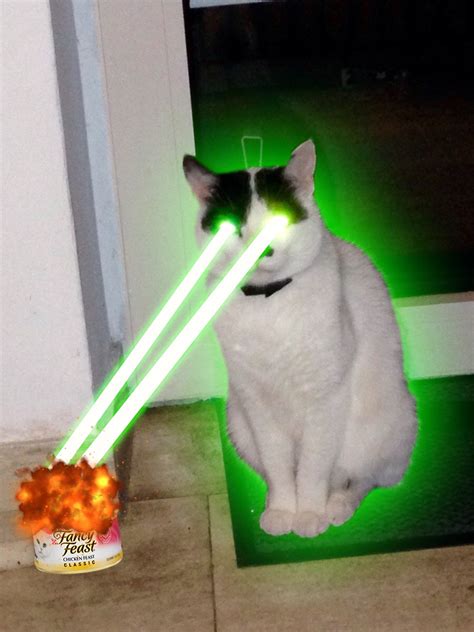 PsBattle: Cat with green glowing eyes : photoshopbattles