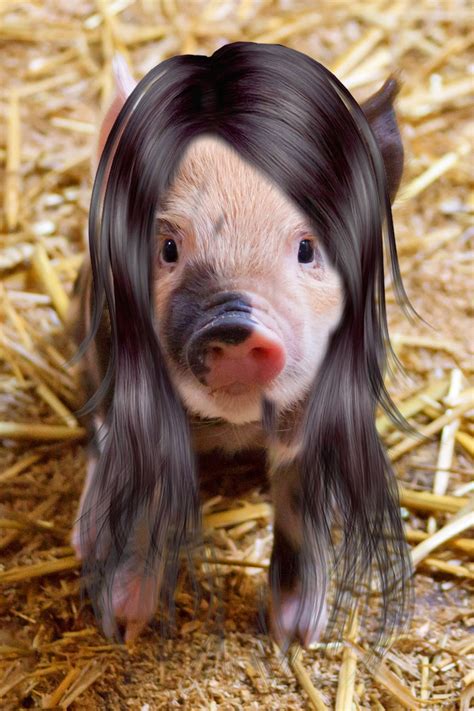 Pigs with Wigs: Oink!