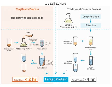 A Protein and Antibody Purification Platform For More Efficient Work