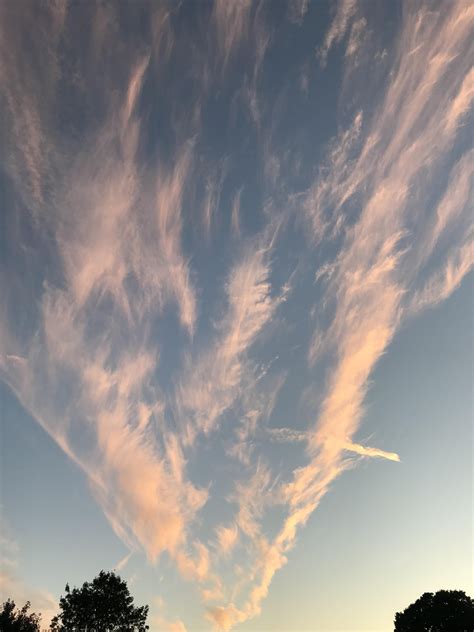 A peaceful photo of cirrus clouds I took | Clouds, Cirrus cloud, Photo